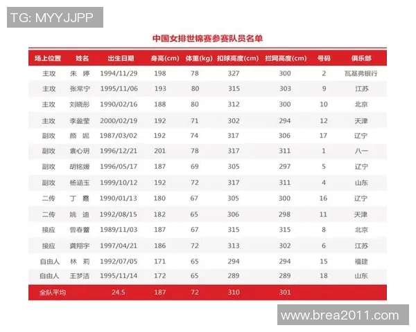 南京排球队技术分析与发展策略探讨聚焦排球运动的未来与挑战