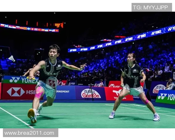 南京羽毛球队运营揭秘：探索羽毛球深度与发展之路