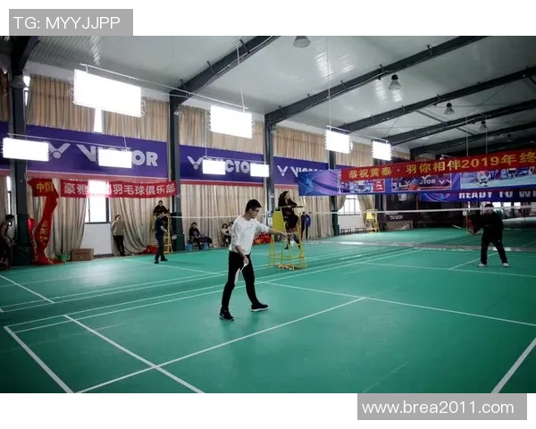 南京羽毛球队与西安羽毛球队速度较量赛后分析与战术总结